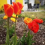 Fh Salzhaff-urlaub By Interhome Casa vacanze *