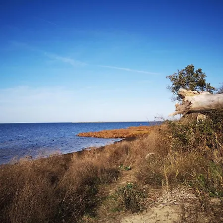 Fh Salzhaff-urlaub By Interhome Prázdninový dům *