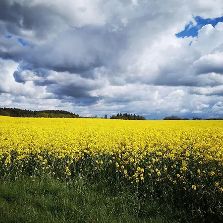 Prázdninový dům Fh Salzhaff-urlaub By Interhome Boiensdorf